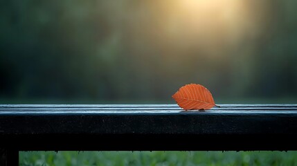 Wall Mural - A solitary orange leaf resting on a damp wooden bench in a tranquil park at sunset