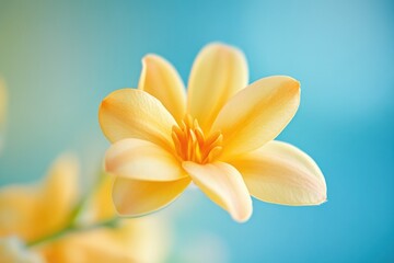 Poster - A single yellow flower in a decorative vase