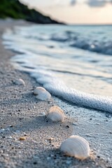 Aufkleber - A beach scene with shells scattered on the sand near the water