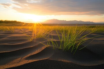 Wall Mural - sunset over sand dunes with grass