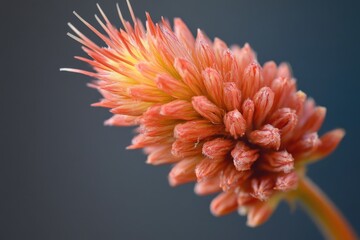 Poster - A close-up view of a single flower on its stem, ready for use in various contexts such as gardening or design