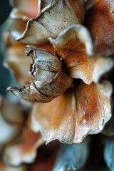Aufkleber - Macro photography of a diverse selection of mushrooms with different shapes and colors