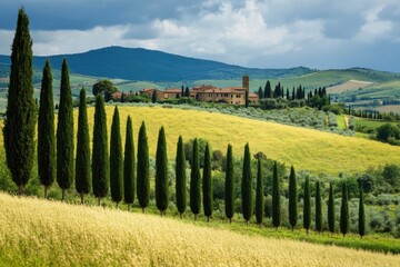 Poster - A row of trees in a field with a building in the background