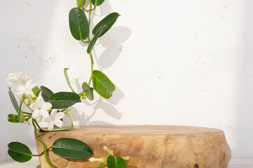 Wall Mural - podium for cosmetic product presentation entwined with green tropical liana plant on abstract plaste