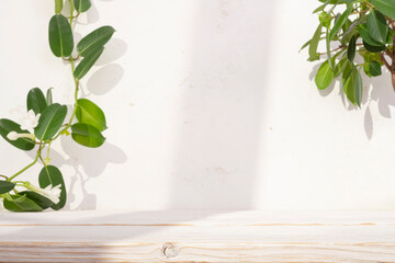 Wall Mural - wooden table top with abstract plaster wall and green tropical plants decoration background
