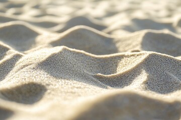 Poster - A close-up shot of sandy beach texture