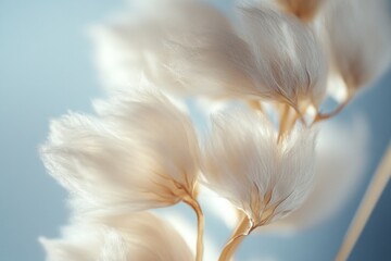 Poster - A close-up shot of a bunch of white flowers