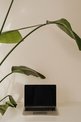 Wall Mural - nature meets tech. laptop with green leaves. refreshing workspace vibe