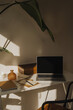 © Floral Deco - Home office desk with laptop, stationery and large green plant in warm morning light with shadows