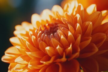 Poster - A close-up shot of a single flower with a blurred background