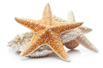 Poster - Starfish sitting together on the ocean floor, ideal for underwater or aquatic themed projects