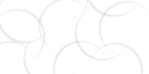 Poster - Abstract background with circle white abstract geometric background with soft light white paper circles in design .Gray abstract. Modern design background for report and project presentation template.