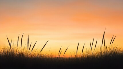 Wall Mural - sunset silhouette of grass field