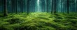 © Chananphat - Mossy Green Forest with Trees in Sweden
