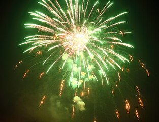 bright green fireworks exploding in the night sky