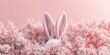 © Sergey Fedchenko - 3d background minimalistic mockup with space for text, Easter bunny ears peeking out from a soft bed of pastel flowers