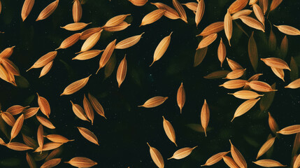 Poster - Drifting caraway seeds texture on dark background for natural design