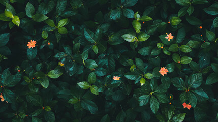 Poster - Lush green foliage with bright orange flowers for nature-themed design