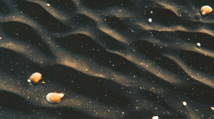 Poster - Serene beach scene with drifting sand and shells