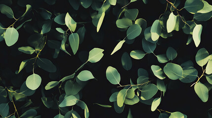 Aufkleber - Vibrant olive green eucalyptus leaves falling on dark background - perfect for botanical design projects
