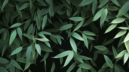 Aufkleber - Serene background of floating light green bamboo leaves for nature-inspired designs