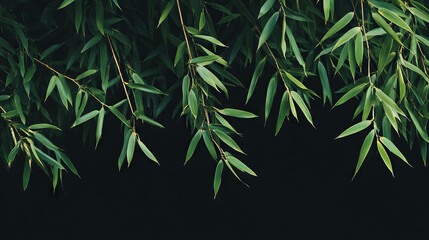 Poster - Tranquil nature background with floating light green bamboo leaves