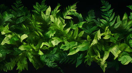 Poster - Tranquil background of floating light green fern leaves for nature design
