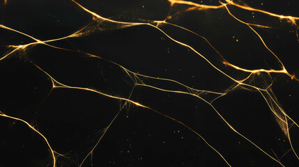 Aufkleber - Elegant geometric golden spiderweb background for design and decoration