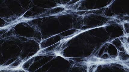 Poster - Intricate spiderweb patterns on dark background for halloween or nature-themed design