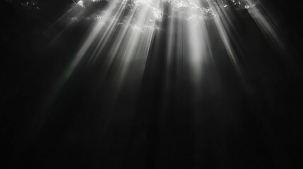 Poster - Dramatic monochrome light rays background for artistic design
