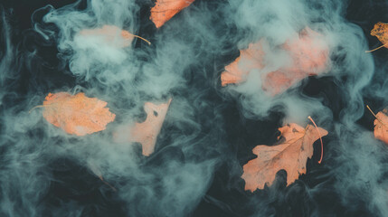Aufkleber - Mystical autumn scene with smoke and dry leaves for creative design