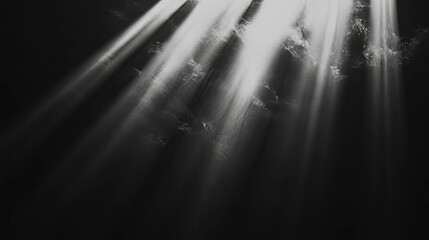 Aufkleber - Ethereal light rays and shadows background for elegant design