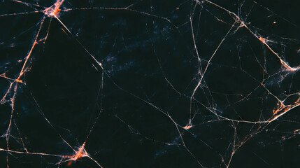 Poster - Intricate spiderweb background with abstract dry textures for creative design