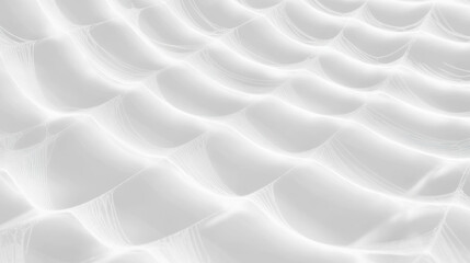 Poster - Abstract pattern of spiderweb with soft illumination for elegant design