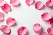© Sayfar - Soft pink rose petals scattered on a white background, flowers, natural, texture