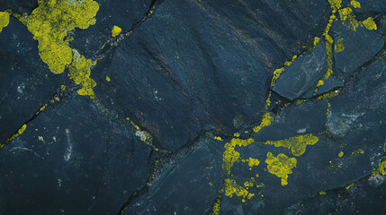 Poster - Natural stone texture with vibrant moss and lichen for rustic design and background use