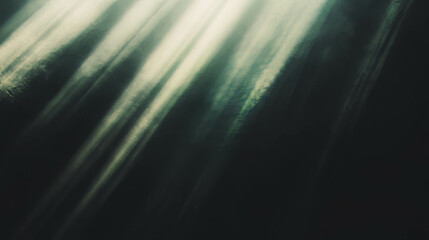Poster - Sunlight streaming through subtle heat haze