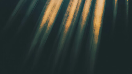 Poster - Warm golden sunlight creating stunning abstract background for design projects
