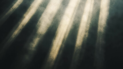 Poster - Warm sunlight rays creating a serene atmosphere for nature and peaceful concepts