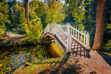 Wall Mural - marvelous autumn scene of burbishko natural park. attractive morning view of foliage forest with whi