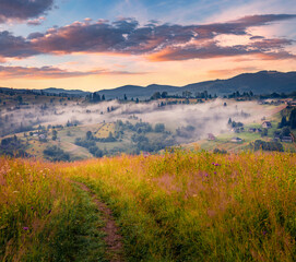 Wall Mural - fantastic summer scene of carpathian mountains with dirt road. huge fog wraping mountain valley at s