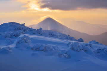 Wall Mural - incredible landscape with snow-covered spruces and mountain peak with a glowing sunset sky and brigh