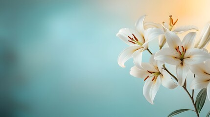 Poster - Elegant White Lilies Decorated on the Edges with Soft Romantic Golden Sunlight and Blank Copyspace Center  Floral Botanical Nature Background Design