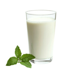 Poster - Fresh milk in clear glass with mint leaves beside it, creating refreshing look. Perfect for healthy drink or recipe