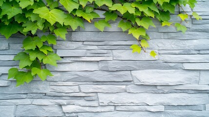 Wall Mural - Lush green ivy cascading over a textured stone wall in a serene outdoor setting