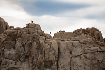 Wall Mural - Joshua Tree rock climbing and zip lining