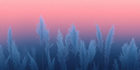 Poster - Serene sunset over silhouetted grass natural landscape outdoor scene tranquil view peaceful atmosphere