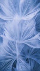 Poster - Delicate ice crystal patterns nature macro frosty environment close-up view beauty of winter