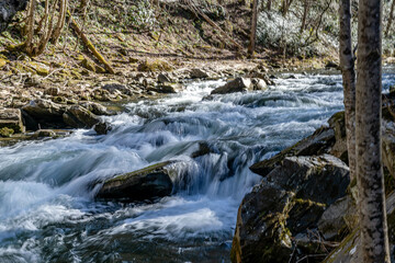 Wall Mural - waterfall