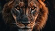 © Nikola - Intense Lion Portrait